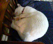 DSC00774.JPG