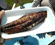 DSC00692.JPG