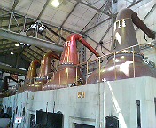 DSC00691.JPG