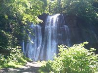 DSC00677