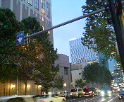 DSC00647.JPG