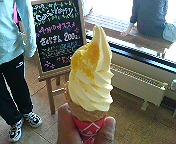 DSC00600.JPG