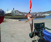 DSC00592.JPG