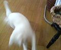 DSC00566